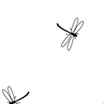 Ramblings Fun - Dragonflies in White