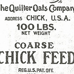 Fowl Play - Chick Feed in White