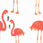 Lula Flamingo Orange