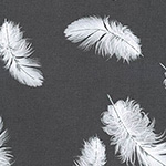 Black and White 2 - Feathers in Jet