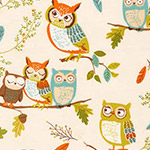 Forest Fellows - Owls in Nature