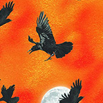 Raven Moon - Raven Moon in Pumpkin