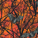 Raven Moon - Tree Bats in Pumpkin
