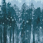 Sugar Plum - Winter Forest in Midnight