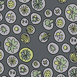 Succulents - Cacti Blooms in Grey