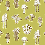 Summer School - Mushrooms in Sprout